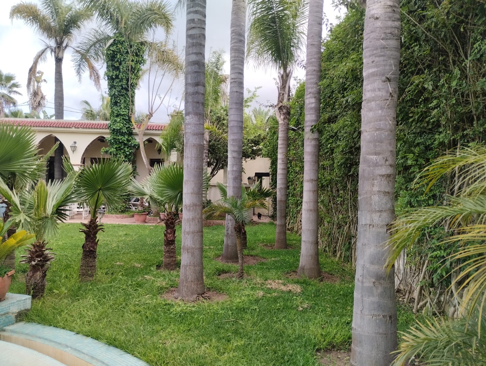 Villa de Prestige à Vendre – Bir Kacem, Souissi - photo 13