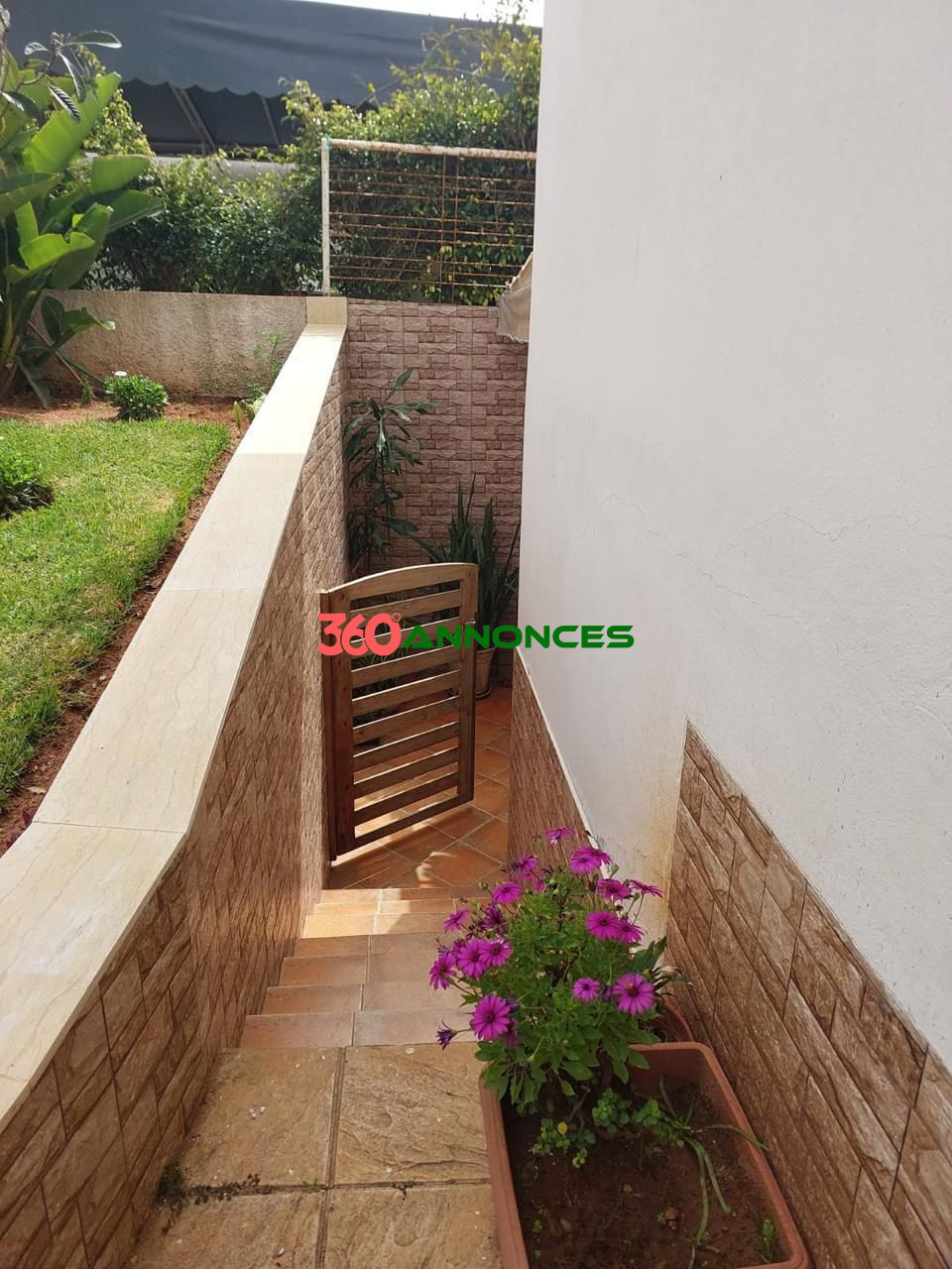 Image Properties Mobile