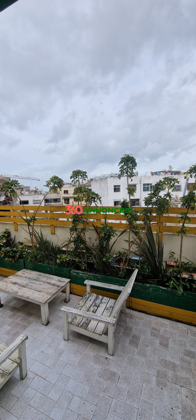 Image Properties Mobile